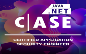 CASE – Certified Application Security Engineer | ETIC Solutions S.A.S
